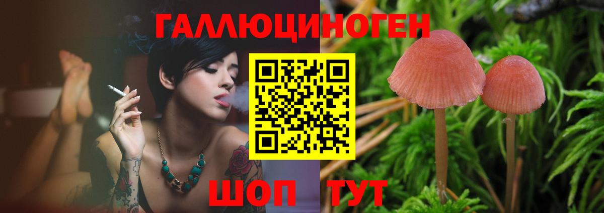 Галлюциногенные грибы GOLDEN TEACHER Зеленокумск